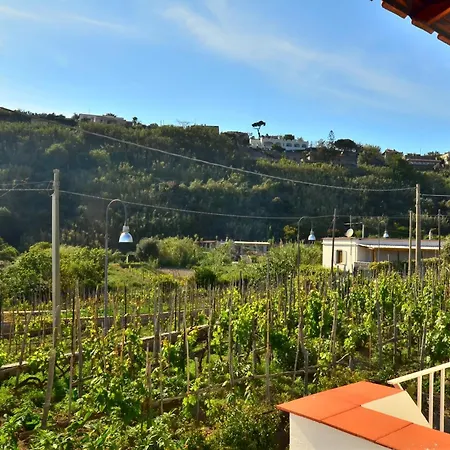 Hotel Bernardina Forio di Ischia
