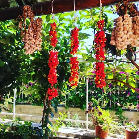 Hotel Bernardina Forio di Ischia