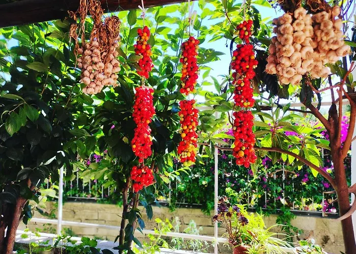 מלון Bernardina Forio di Ischia